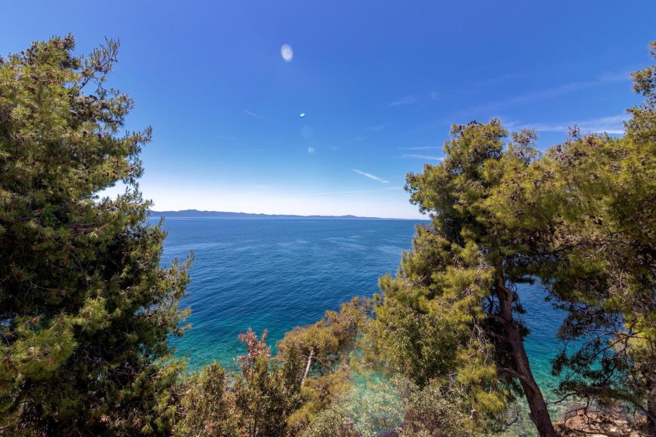 Seaside Secluded Apartments Cove Torac, Hvar - 575 Gdinj 외부 사진